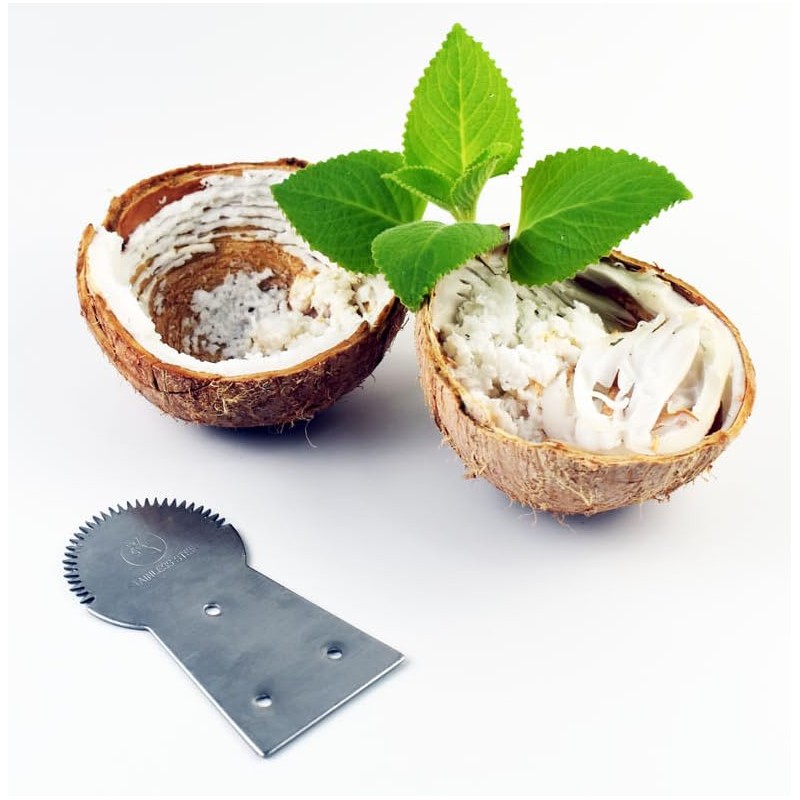 Stainless Steel Coconut Scraper Tool, Manual Grater with Serrated Blade