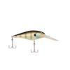 Berkley CURRICAN Flicker SHAD FFSH6M-MFBG