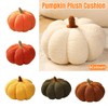 AIMALL Pumpkin Shaped Plush Cushion, 9.05 Inch Wide Colourful Home