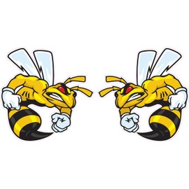 Ski-Doo Angry Bee Large Pairs Decal 6" from The United States