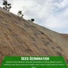 Farm Plastic Supply 100% Biodegradable Erosion Control Blanket - Straw/Coconut