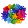 Rhode Island Novelty 6 Foot 60g Rainbow Feather Boa, One