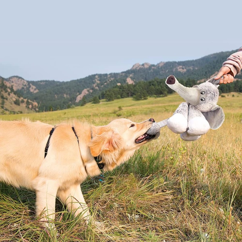 KONG Stretchezz Legz Bear Dog Toy, Large Multicolour