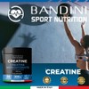 Bandini® Creatine Monohydrate Mercury Free 100% Pure Powder - Supplement