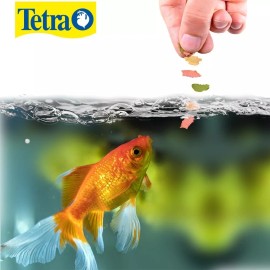 Tetra Alimento Peces Tetrafin Goldfish Flakes 200 Gr 7.06 Oz