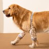 Dog Front Leg Joint Protector Sleeve,Elbow Sleeves with Mesh Pad