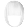 Jinnhelun Clip in Bangs,Bangs Hair Clip Extensions Clip on Wispy