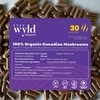 Stay Wyld Organics - Turkey Tail Mushroom Supplement, 100% Canadian,