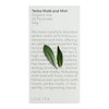 Love Tea Yerba Maté & Mint Pyramid Tea Bags, 20