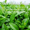 TEATREE Matcha (3.53 Oz), Polvo De Té Verde Matcha Orgánico,