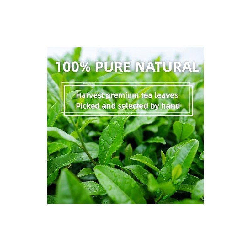 TEATREE Matcha (3.53 Oz), Polvo De Té Verde Matcha Orgánico,