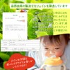 Mizutama Farm Decaffeinated Fall/Winter Bancha Tea Bags, 0.1 oz (4