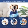 KIKNIN Recovery Suit for Dogs After Surgery, Post Spay, Neuter,