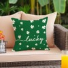 RABUSOFA St.Patrick's Day Pillow Covers 16x16 Inch,Lucky Shamrock Decorations Holiday