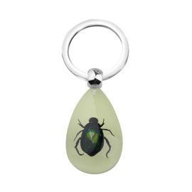 BNQL Real Scorpion Keychain Gifts Resin Scorpion Pendant With Real Scorpion Specimen Glow in the Dark Scorpion Resin Key Ring (beetle ky)
