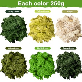Preserved Moss Reindeer Moss Bulk Natural Multicolored Moss for Crafts DIY Arts Office Wall Home Decoration(2.65 lb,Fresh)