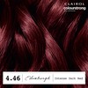 CLAIROL COLOUR STRONG PERMANENT HAIR DYE - 4.46 INTENSE DARK