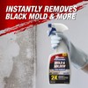 30 SECONDS Pro Mold and Mildew Stain Remover | Scrub
