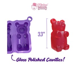 DIY Medium Gummy Bear Mold by Mister Gummy | Make Your Own Medium Sized Gummy Bears, Soap, Chocolate, Candles, Bath Bombs, Ice, Decor Bears, Baked Goods, and More! (Two Pack)