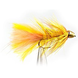 Weighted Cone Head Autumn Splendor Streamer Fly with Legs - 1 Doz Flies (Hook #8)