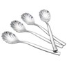 Sosody Stainless Steel Shell Shape Sugar Spoons, Coffee Spoons Dessert
