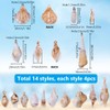 SUNNYCLUE 1 Box 56Pcs 14 Styles Small Seashell Charms Spiral
