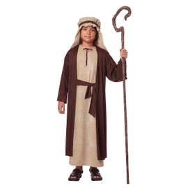 Boys Saint Joseph Costume Large (10-12)