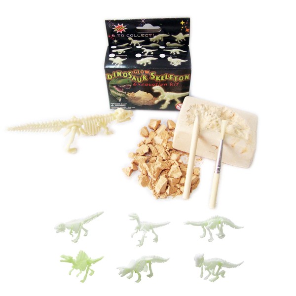 NW Active Kids Small Glow in The Dark Dinosaur Excavation Kit
