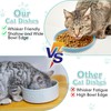 Apatal Silicone Cat Food Bowl Shallow Dishes 5.9in Wide Cats