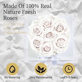 Graclect Flowers for Delivery Prime - Rosas preservadas en una caja - Flores eternas, rosas inmortales, regalos de cumpleaños de rosa eterna para ella, para mamá, rosa blanca