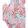 Fab Flamingo One Piece Rash Guard - 12-18m