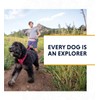 RUFFWEAR Crag Dog Collar, Reflective and Comfortable Collar for Daily
