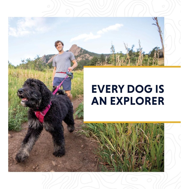 RUFFWEAR Crag Dog Collar, Reflective and Comfortable Collar for Daily
