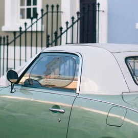 Mr. & Mrs. Panda Car Sun Shade Dad Bear Gift Uncle Dad Dad Sun Protection Children Sun Protection for Car Grandma Sun Protection Car Window