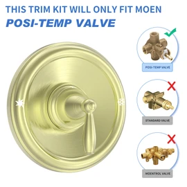 Replacement for Moen T2151BG Brantford Posi-Temp Valve Trim Kit, Brushed Gold Shower Trim Kit Shower Lever Handle (#2510 Valve Required)