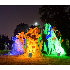 Lysed Color Changing Landscape Lights 10W RGB Remote Control LED Landscape Lights, 12V Low Voltage Spotlight, IP66 Waterproof Pathway Lights for Tree, Garden, Yard, Wall (4 Pack)