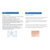 Ácido hialuronico facial nano Colágeno Elastina 30 ml