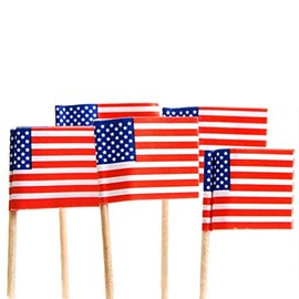 U.S. Toy Lot of 144 American Flag Patriotic Theme Food Toothpicks