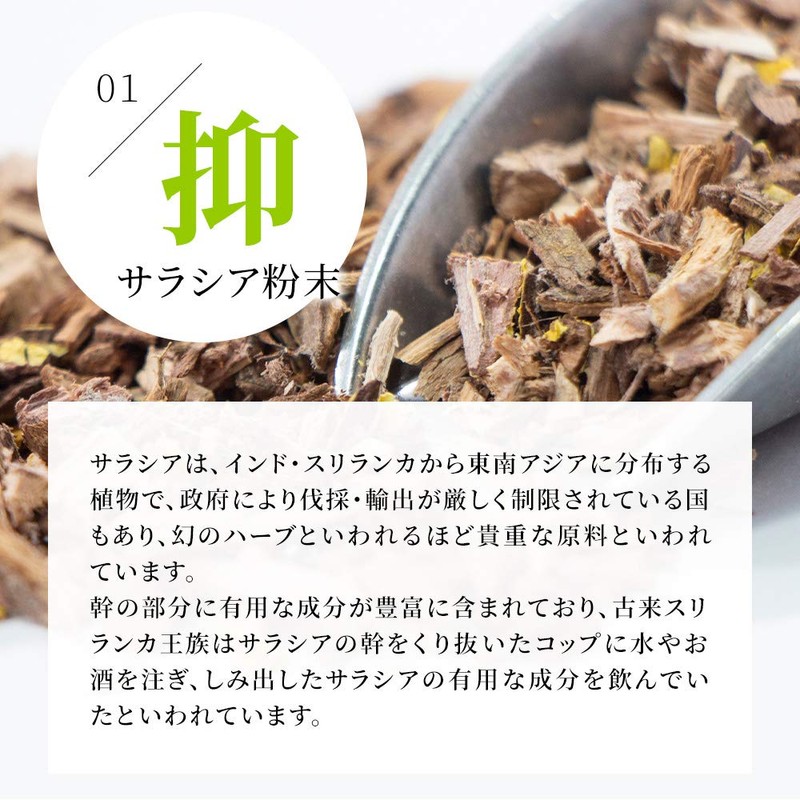 シードコムス サラシアブラック サプリメント 炭 チャコール 乳酸菌 オリゴ糖 ダイエットサプリ (約3ヶ月分 180粒)