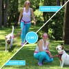 Pawtitas Dog Running Leash Hands Free for Large and Medium