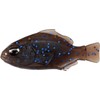 DUO Worm Realis Nomasegil Nonweight Maddygill F022