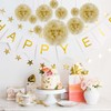 Tissue Paper Pom Poms, Light Khaki Tissue Paper Flowers, Hanging