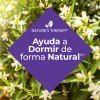 Night Blend, Sueño Reparador Descanso 100% Natural, Nt® Sabor Sin