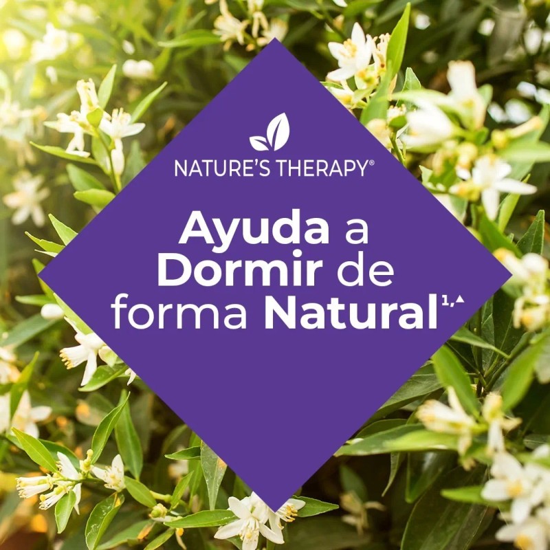 Night Blend, Sueño Reparador Descanso 100% Natural, Nt® Sabor Sin
