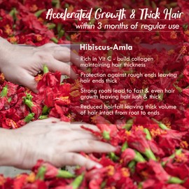 NatHabit Hibiscus Amla Hair Growth Summer Dasabuti Hair Oil | Hair Fall, Massage, Dry, Frizzy Hair Treatment | Ayurvedic, Herbal, Fresh Made | 16 Herbs Heat Soaked | Castor, Coconut, Amla (100ml)