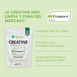 Wellthy Creatina Monohidratada Micronizada Creapure® 615g. 100% Pura. Solo 1 Ingrediente Creatina Alemana Creapure®. Vegana, Sin Azúcar, 123 porciones