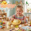 6 PCS Squishy Chicken Toys with Henhouse, Handmade Ultra Soft