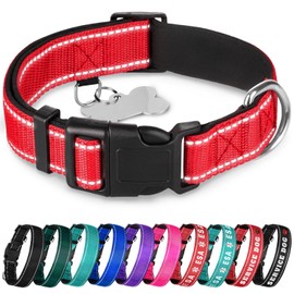 TECEUM Reflective Pet Collar – Red – M – Extra Soft Padding – Basic Nylon Dog Collar – Quick Release Buckle – Fits Small, Medium and Large Dogs, Puppies, Cats – ESA & Service Dog Options