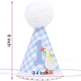 Silly Goose First Birthday Party Hat, Blue Gingham Pattern with Duck Design, White Pom Pom