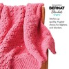 Bernat Blanket Brights Royal Blue Yarn - 2 Pack of
